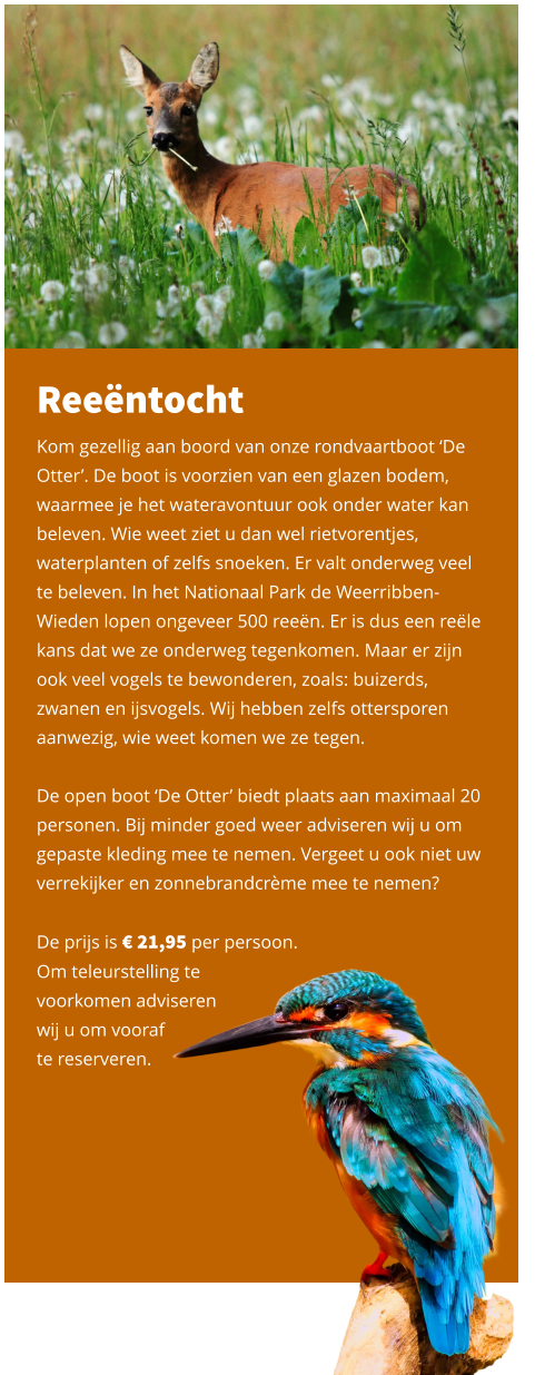 Reeëntocht Kom gezellig aan boord van onze rondvaartboot ‘De Otter’. De boot is voorzien van een glazen bodem, waarmee je het wateravontuur ook onder water kan beleven. Wie weet ziet u dan wel rietvorentjes, waterplanten of zelfs snoeken. Er valt onderweg veel te beleven. In het Nationaal Park de Weerribben-Wieden lopen ongeveer 500 reeën. Er is dus een reële kans dat we ze onderweg tegenkomen. Maar er zijn ook veel vogels te bewonderen, zoals: buizerds, zwanen en ijsvogels. Wij hebben zelfs ottersporen aanwezig, wie weet komen we ze tegen.  De open boot ‘De Otter’ biedt plaats aan maximaal 20 personen. Bij minder goed weer adviseren wij u om gepaste kleding mee te nemen. Vergeet u ook niet uw verrekijker en zonnebrandcrème mee te nemen?  De prijs is € 21,95 per persoon.  Om teleurstelling te  voorkomen adviseren  wij u om vooraf  te reserveren.